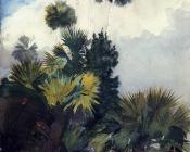 温斯洛荷默 - Palm Trees, Florida